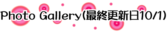 �t�H�g�M�������[